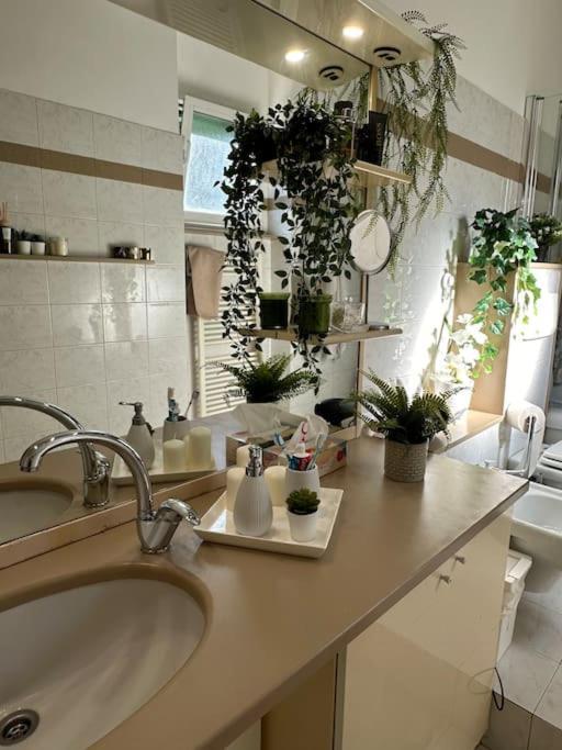 Appartamento Bisceglie Milano Esterno foto